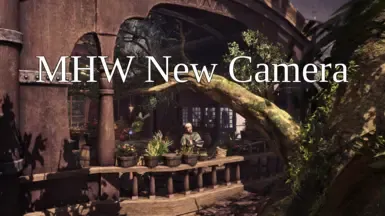 MHW 新视角(自由视角)