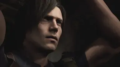 来自 re requiem 的 Leons 面部和眼部纹理