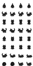 黑猫