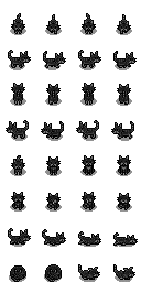黑猫