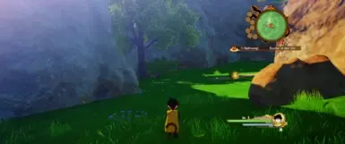 Ultrawide_unlocked FPS and FOV