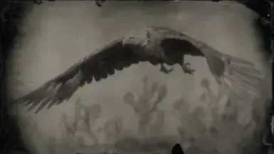 不再有鹰眼滤镜