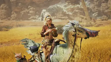 杰玛作为处理者