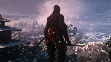 Sekiro Shinobi Hayabusa V2