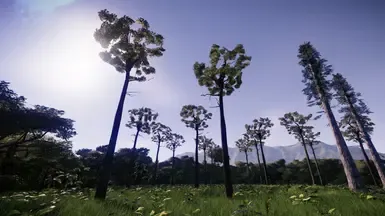 佛罗里达大沼泽地模组