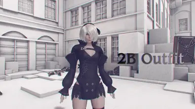 Reincarnation 2B 服装