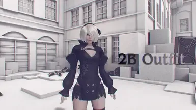 Reincarnation 2B 服装