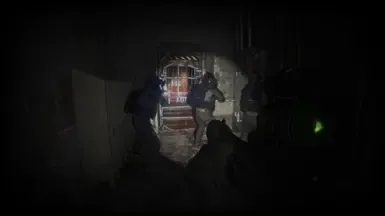 BodyCam恐怖游戏Reshade预设 - L4D