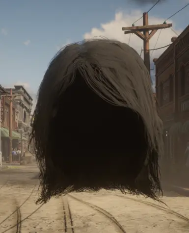 Rdr 1 头发 但一个物体