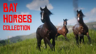 Muss and Space's Bay Horses Collection