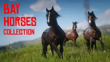 Muss and Space's Bay Horses Collection