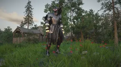 Armor remesh