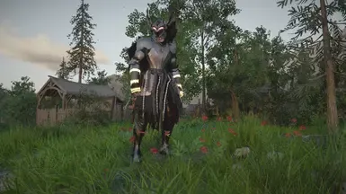 Armor remesh