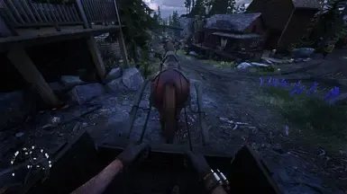 另一个视野修改器 FOV