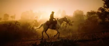 The Last Pale Light In The West That's The Way It Is Replacer