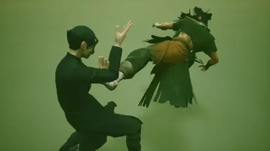 招架修正