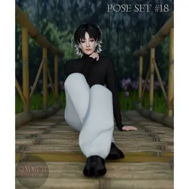 姿势集 18