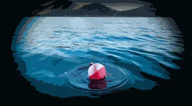 钓鱼