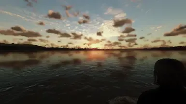 Dipster V.V.P Reshade(已停用)