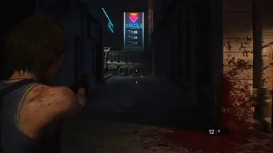 RE 3 扩展版 (制作中) 无 RTX