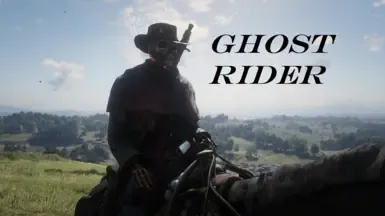 Ghost Rider 皮肤