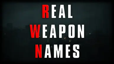 RE2R的真实武器名称
