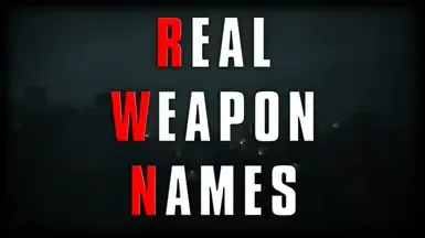 RE2R的真实武器名称
