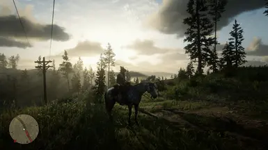RDR2 由 JorgeGolden 制作的 ReShade 预设