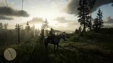RDR2 由 JorgeGolden 制作的 ReShade 预设