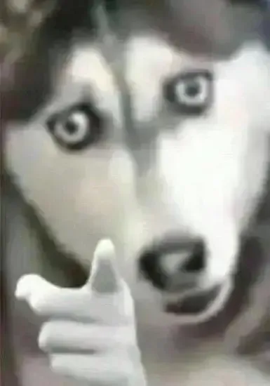 将 rufus 替换为 husky