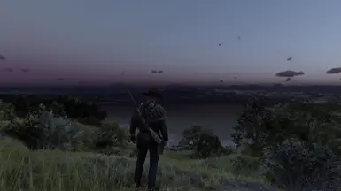 rdr 真实但并不