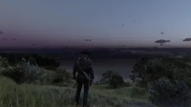 rdr 真实但并不