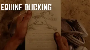 Equine Ducking
