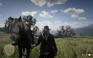 Alternative hungarianhalfbred