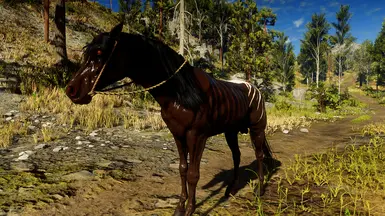 RDR1 饥荒模仿者