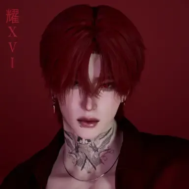 XVIHAIR11