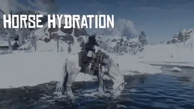 马匹补水