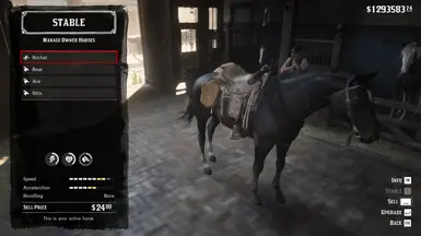 Red dead redemption 2 最佳存档文件(作者:Elijahc170)