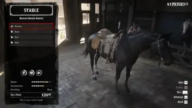 Red dead redemption 2 最佳存档文件（作者：Elijahc170）