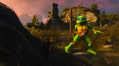 Toon TMNT Leo as Geralt