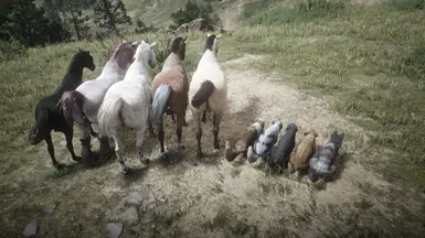 Poop On Command