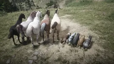 Poop On Command