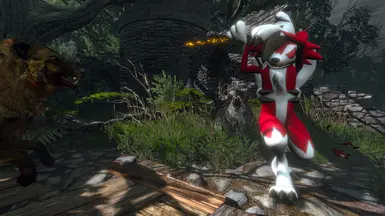 Lycanroc 饰演 杰洛特