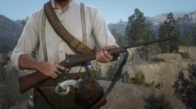 Springfield Trapdoor Carbine