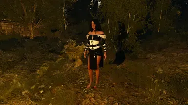 Yennefer DLC 服装重制