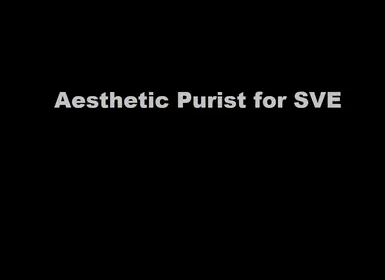 SVE 的美学纯净主义