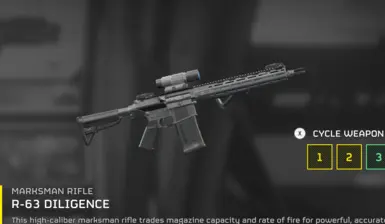 SR 25 勤奋替换器