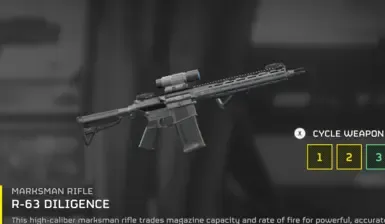 SR 25 勤奋替换器