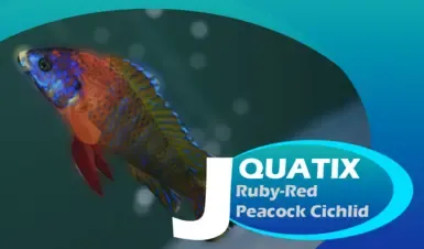 Ruby-Red Peacock Cichlid - 新物种 (1.20)