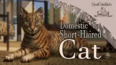 家养短毛猫 - 新的家养品种(1.20)